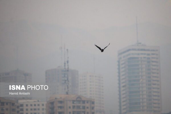 آثار هوای آلوده بر سلامت ۳۳ شهر ایران طی ۱۴۰۱ /قانون هوای پاک به درستی اجرا میشود؟