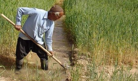 طرح حمایتی بخشودگی عام 6 درصد وجه التزام بدهی کشاورزان آذربایجان شرقی