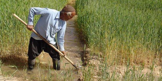 طرح حمایتی بخشودگی عام 6 درصد وجه التزام بدهی کشاورزان آذربایجان شرقی