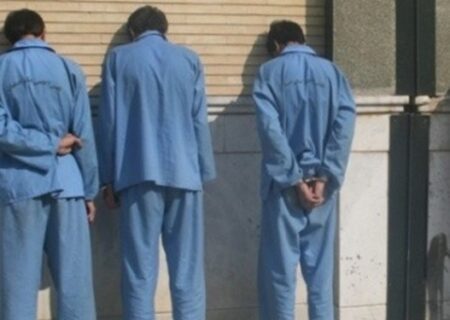 دستگیری سارقان منزل در میانه