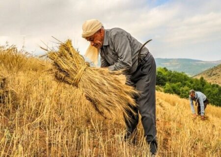 آخرین خبرها از بیمه تکمیلی روستائیان کشور