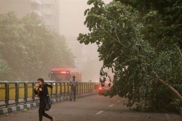 وزش باد و گردوخاک تا ۵ روز آینده در شرق و شمال‌شرق