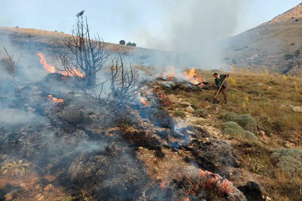 بحران در جنگل‌های ایران/ ۴۶ هزار ‌هکتار ‌اراضی ملی، مرتعی و جنگلی‌ آتش سوخت