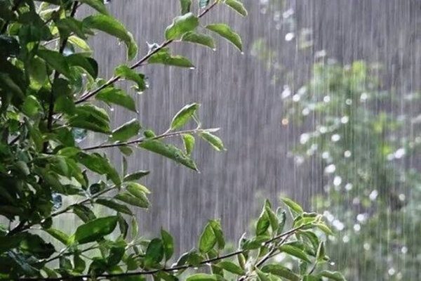 هواشناسی ایران / پیش‌بینی آب و هوا تا آخر هفته
